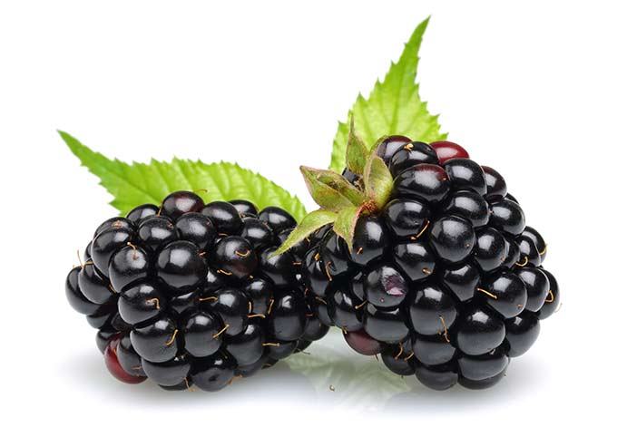 Black Raspberry Seed Oil