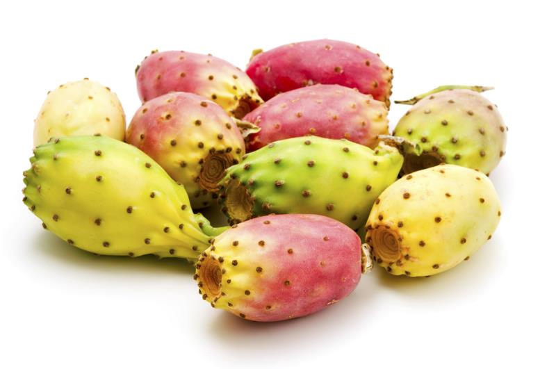 Prickly Pear Seed Oil