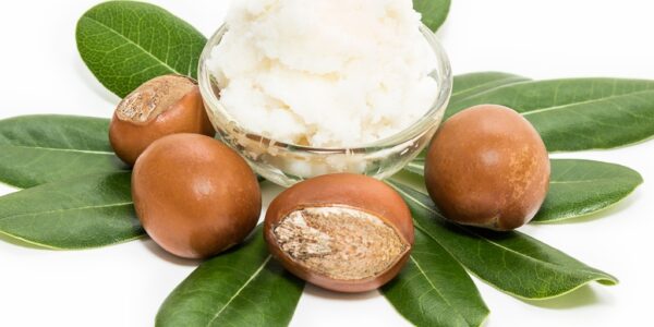 Shea Butter