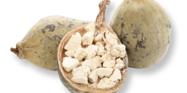 Baobab Oil